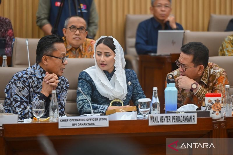 Strategi Danantara Tingkatkan Industri Baja Indonesia