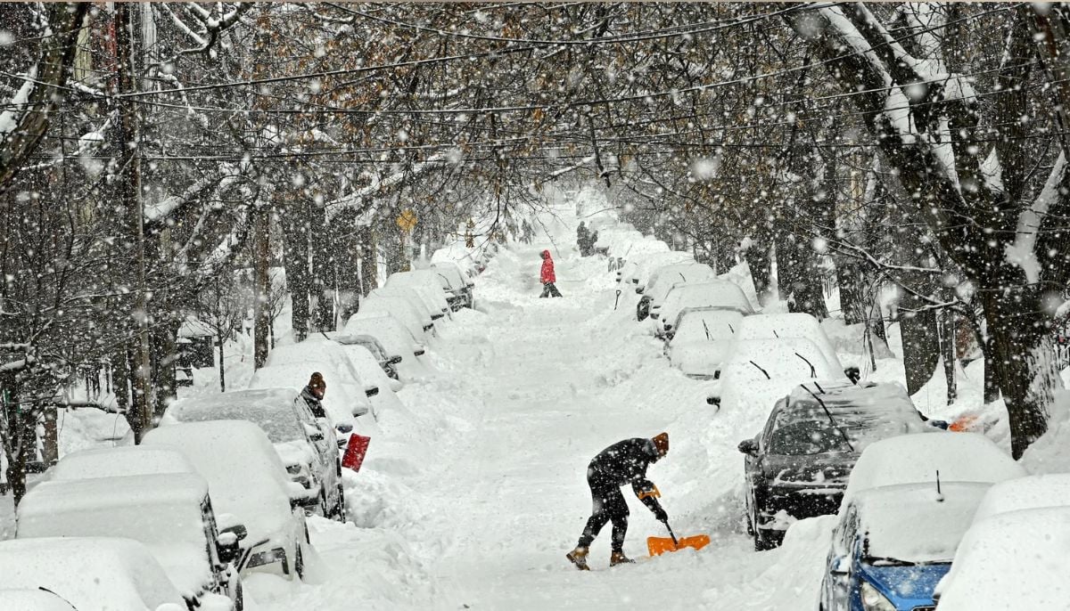 Peringatan Badai Musim Dingin: Salju Lebat dan Angin Kencang