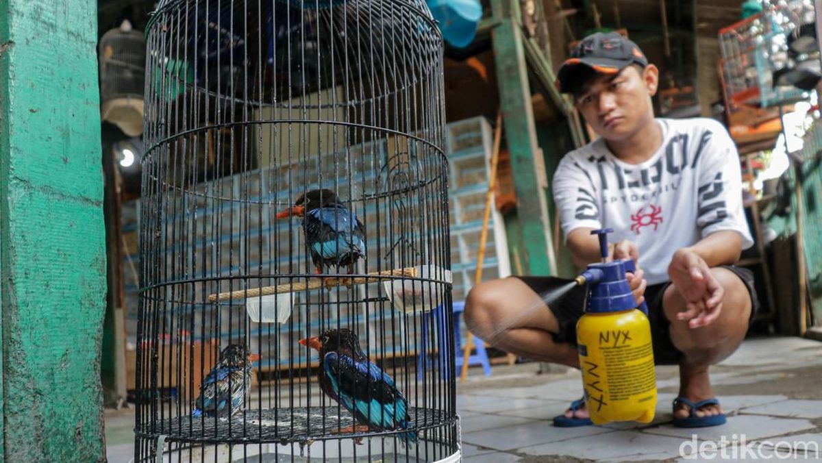 Dinamika Ekonomi di Balik Hobi Burung Berkicau